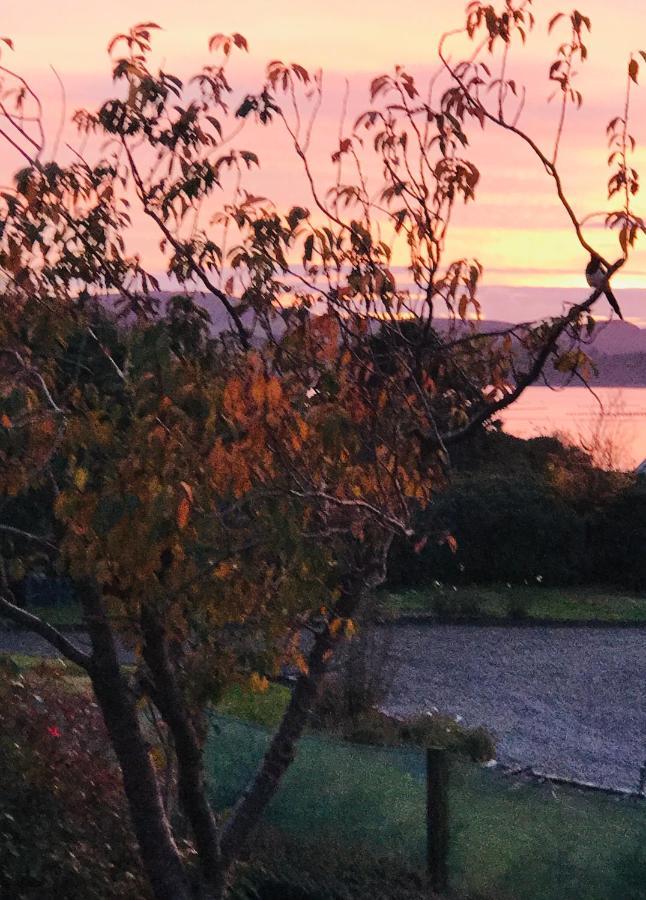 Niblick Bed and Breakfast Bantry Exteriör bild