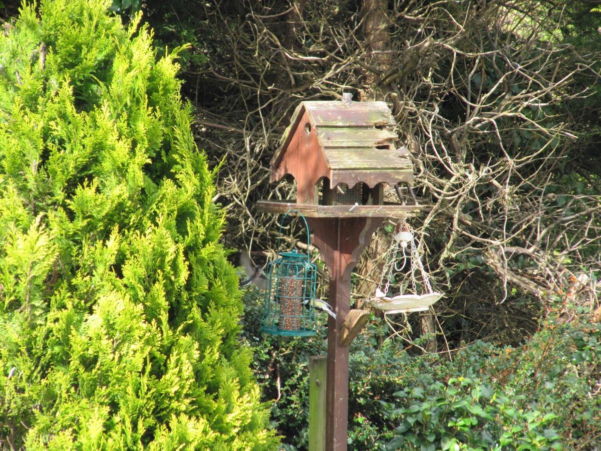 Niblick Bed and Breakfast Bantry Exteriör bild