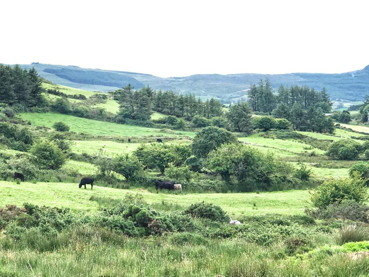 Niblick Bed and Breakfast Bantry Exteriör bild
