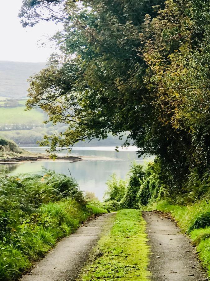Niblick Bed and Breakfast Bantry Exteriör bild