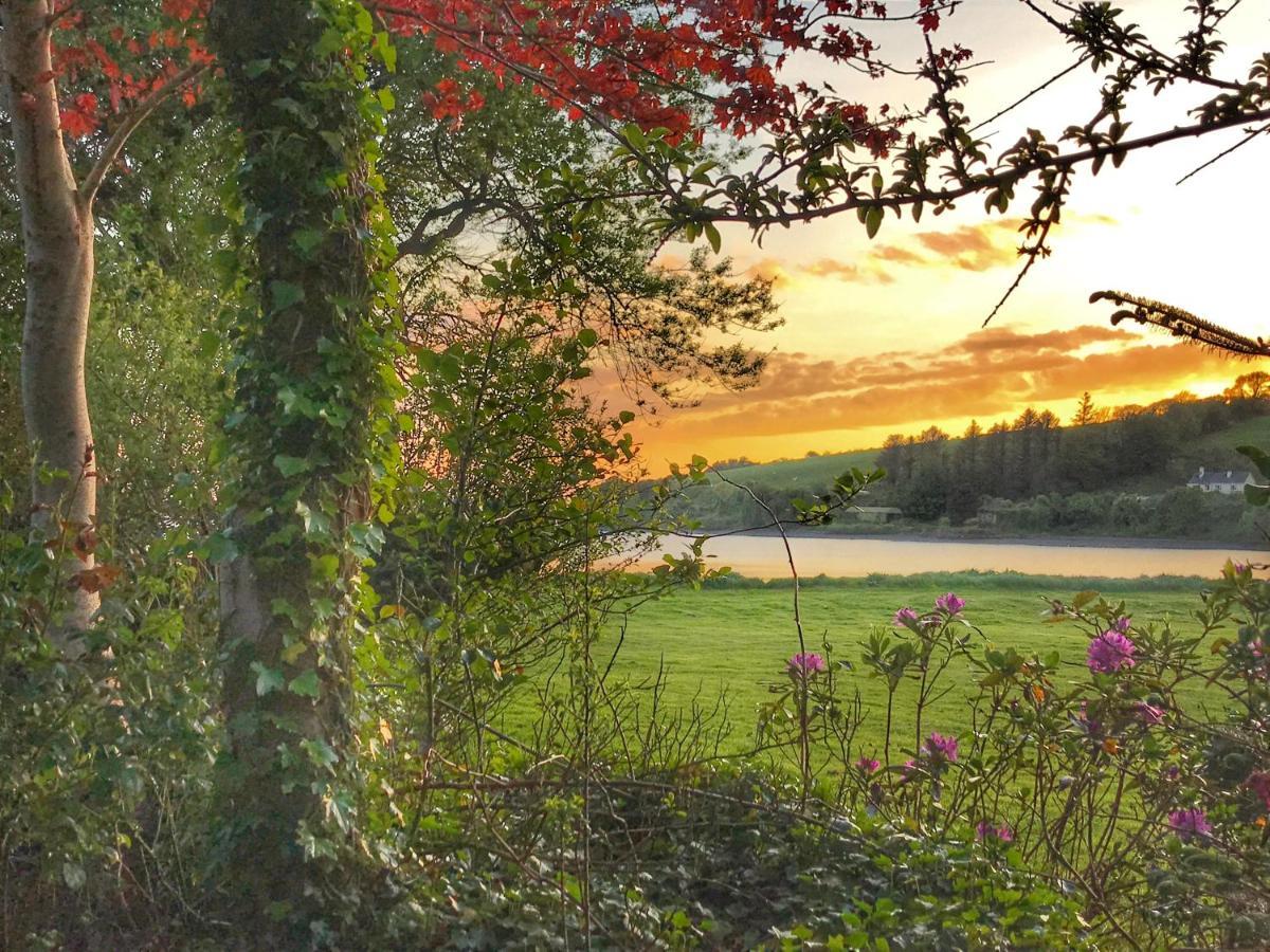 Niblick Bed and Breakfast Bantry Exteriör bild