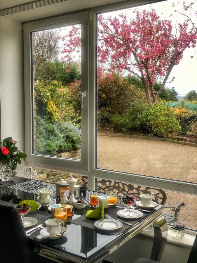 Niblick Bed and Breakfast Bantry Exteriör bild
