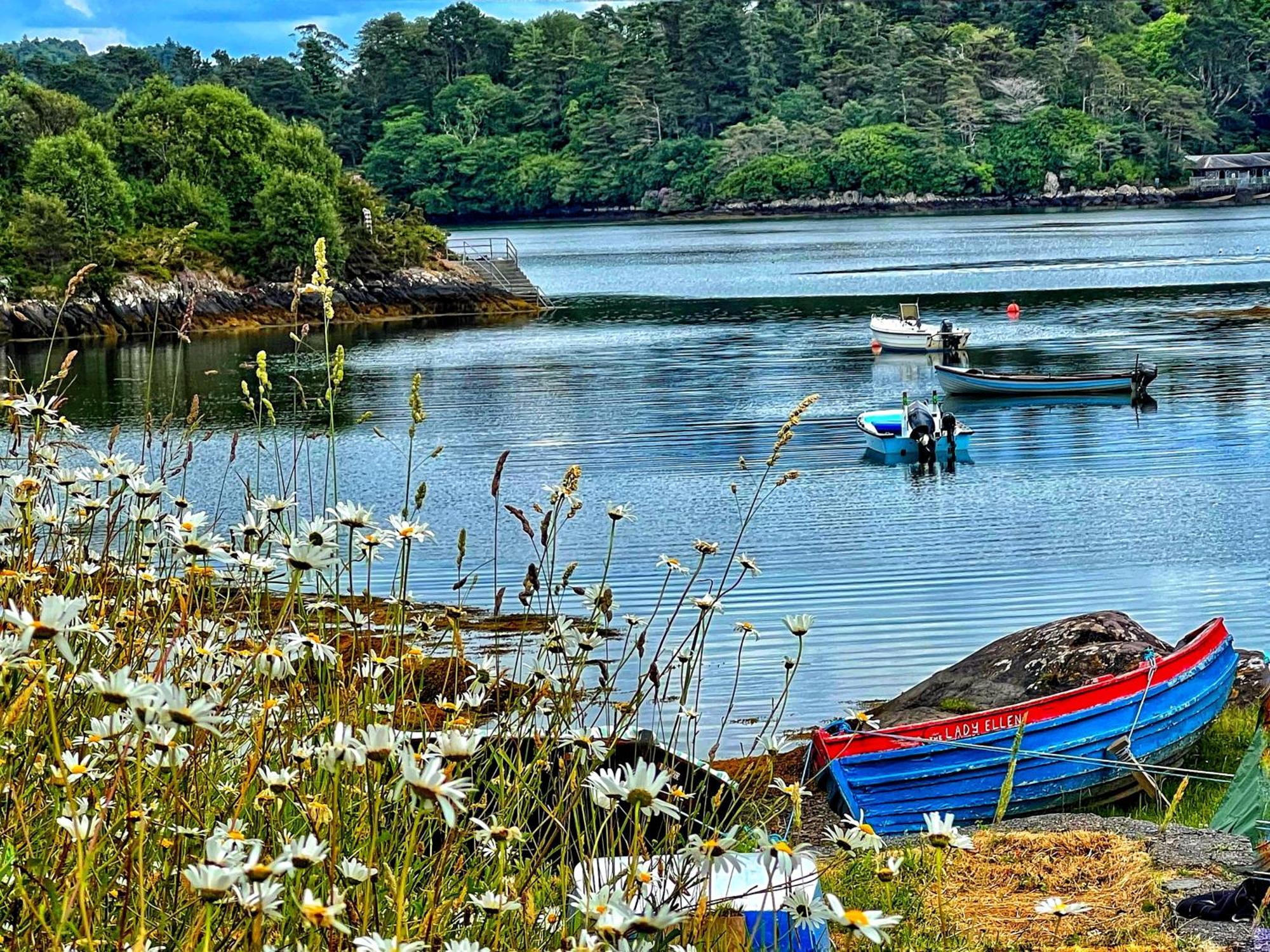 Niblick Bed and Breakfast Bantry Exteriör bild